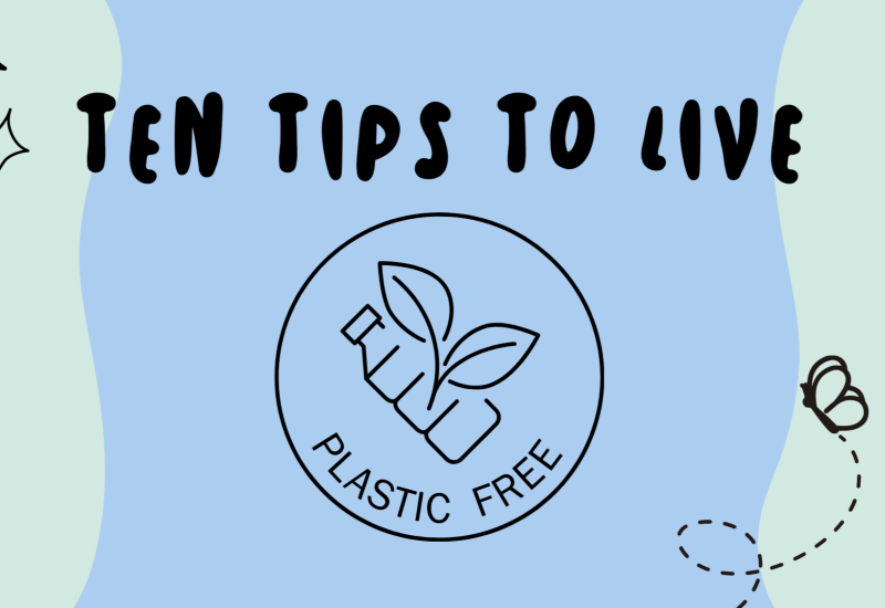 10 tips voor een plasticvrij leven